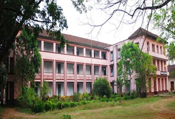 St. Thomas College Kottayam Campus photo 3
